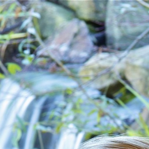 🪨 Gommage Corps Détox & Lissant