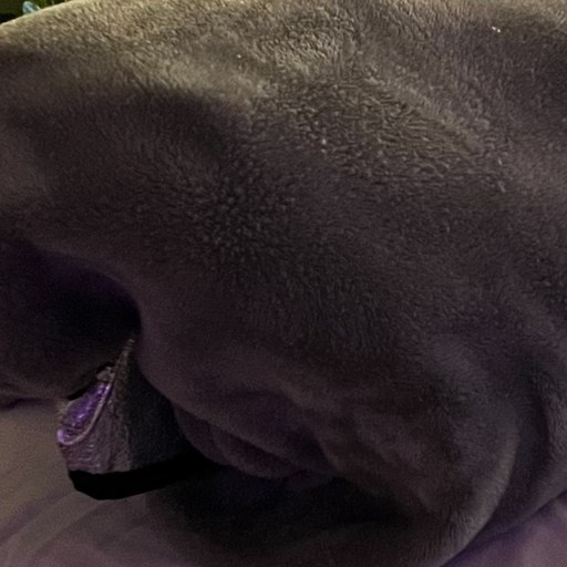 Soin des Pieds Sublime avec un vernis semi permanent